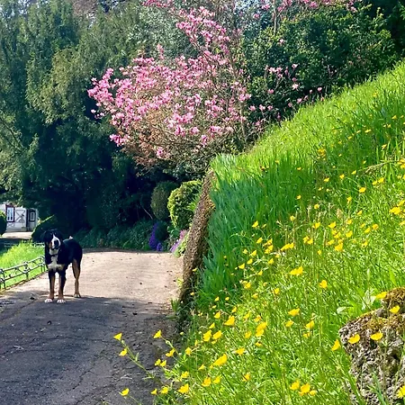 Haus Haselmaus - Zaunkoenig Schwäbisch Gmünd