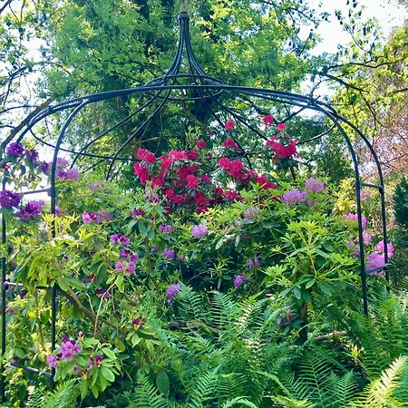 Haus Haselmaus - Zaunkoenig * Schwäbisch Gmünd