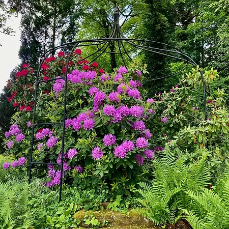 Haus Haselmaus - Zaunkoenig *