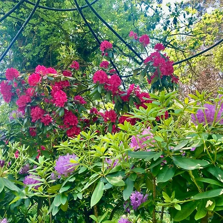 Haus Haselmaus - Zaunkoenig Apartamento *