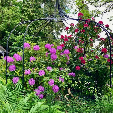 Haus Haselmaus - Zaunkoenig *